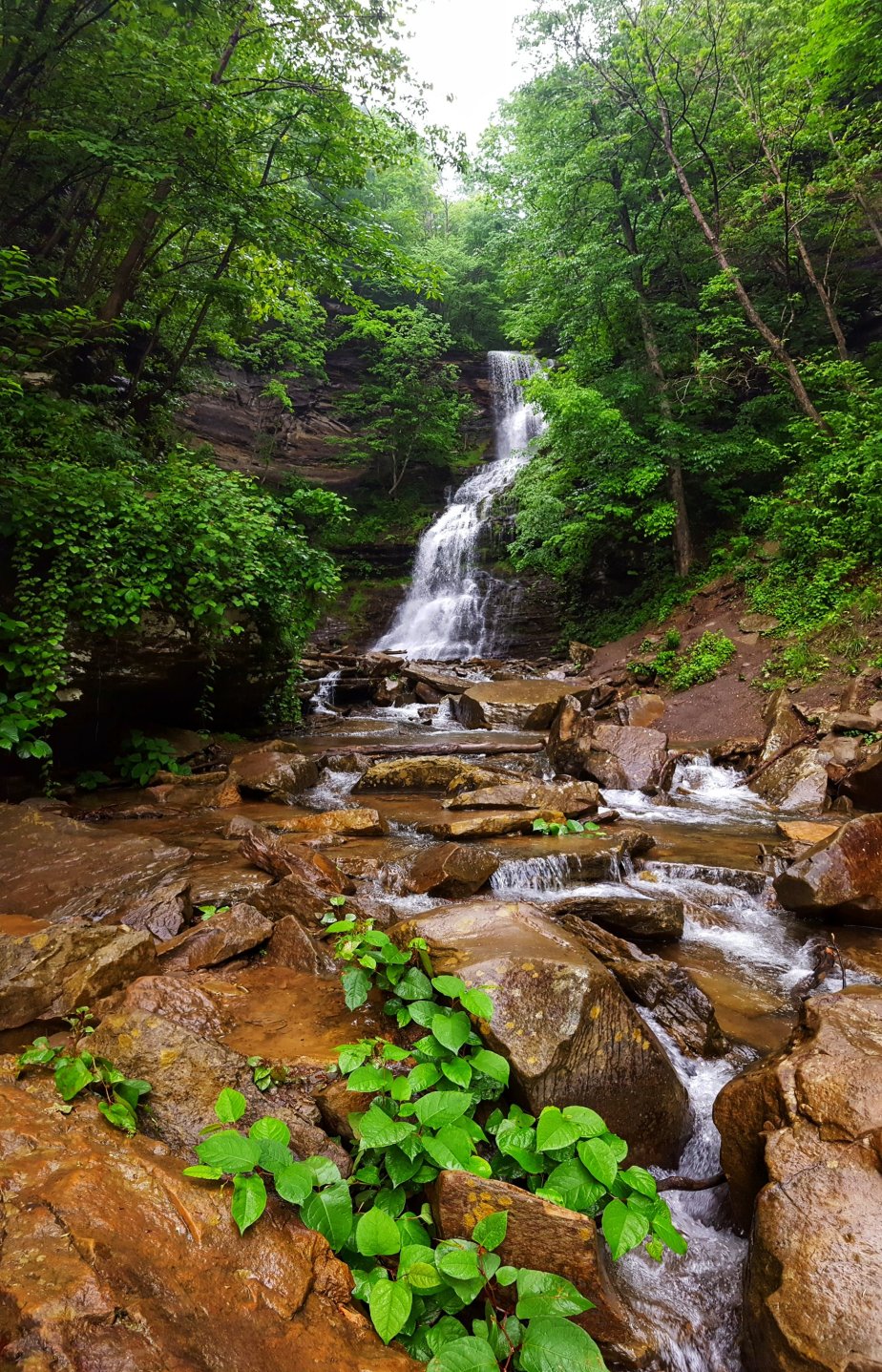 Cathedral Falls,  A Natural&nbsp;Sanctuary
