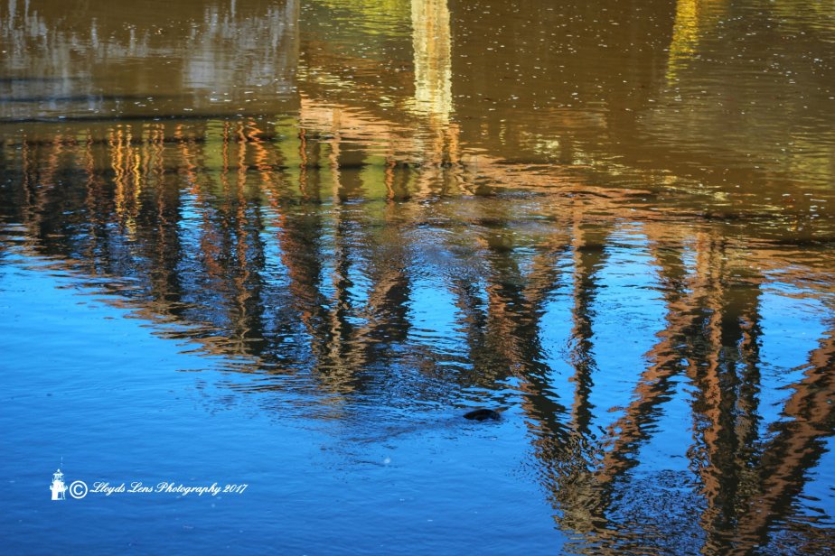 The Quest For&nbsp;Simplicity