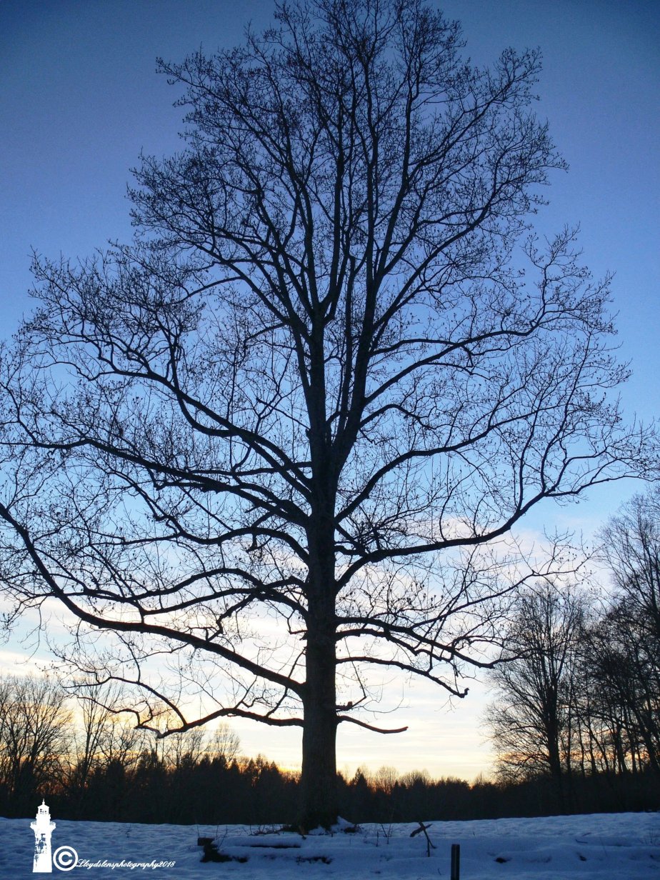 Strong in the&nbsp;Storm