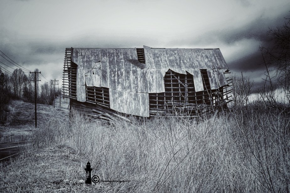 Old Barn On Muddlety Creek 