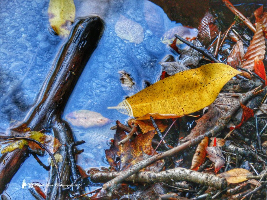 The Art Of Getting&nbsp;Lost