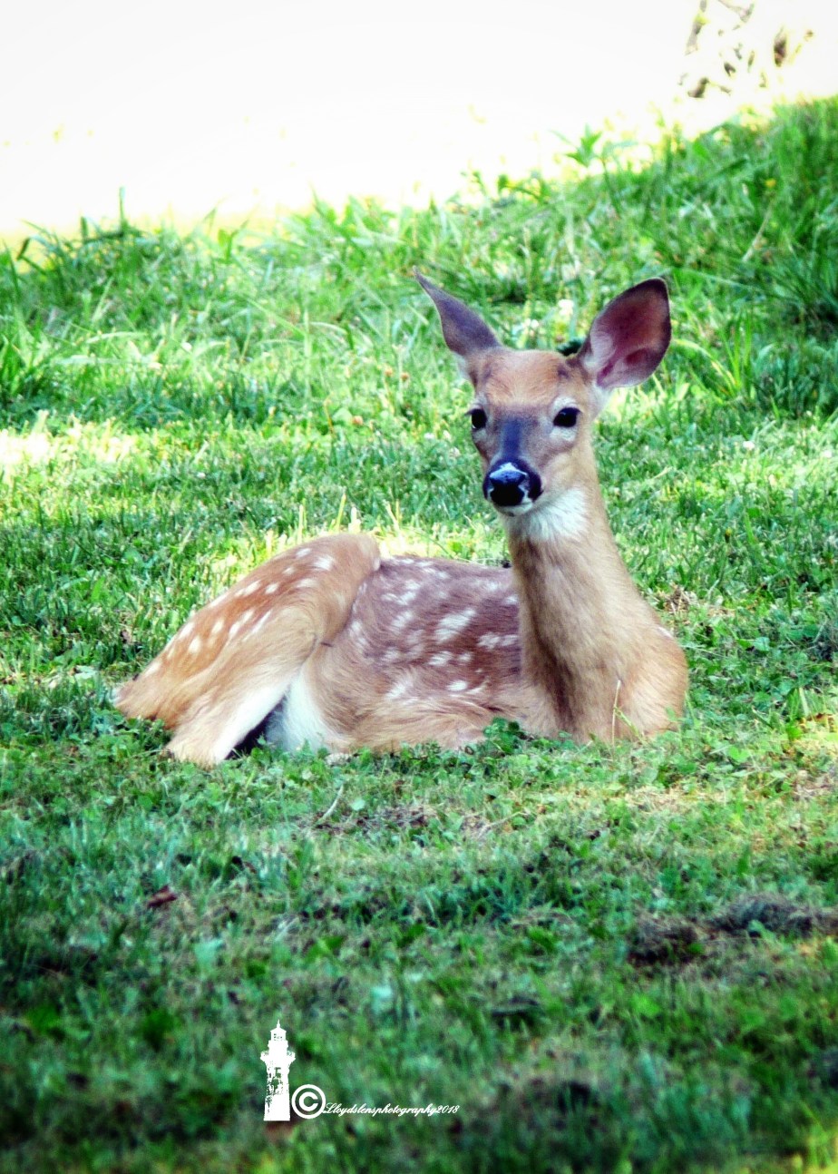 Little Blessings pt&nbsp;2