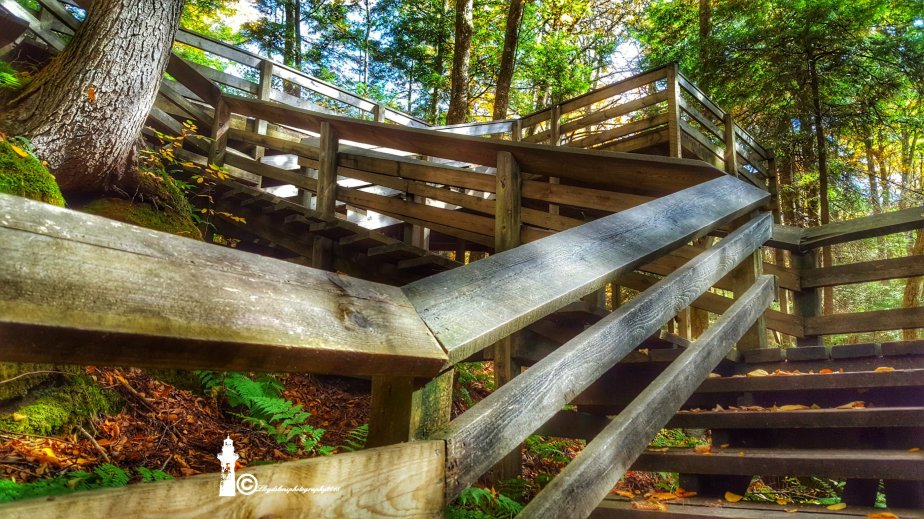 A little more about Beartown State&nbsp;Park.