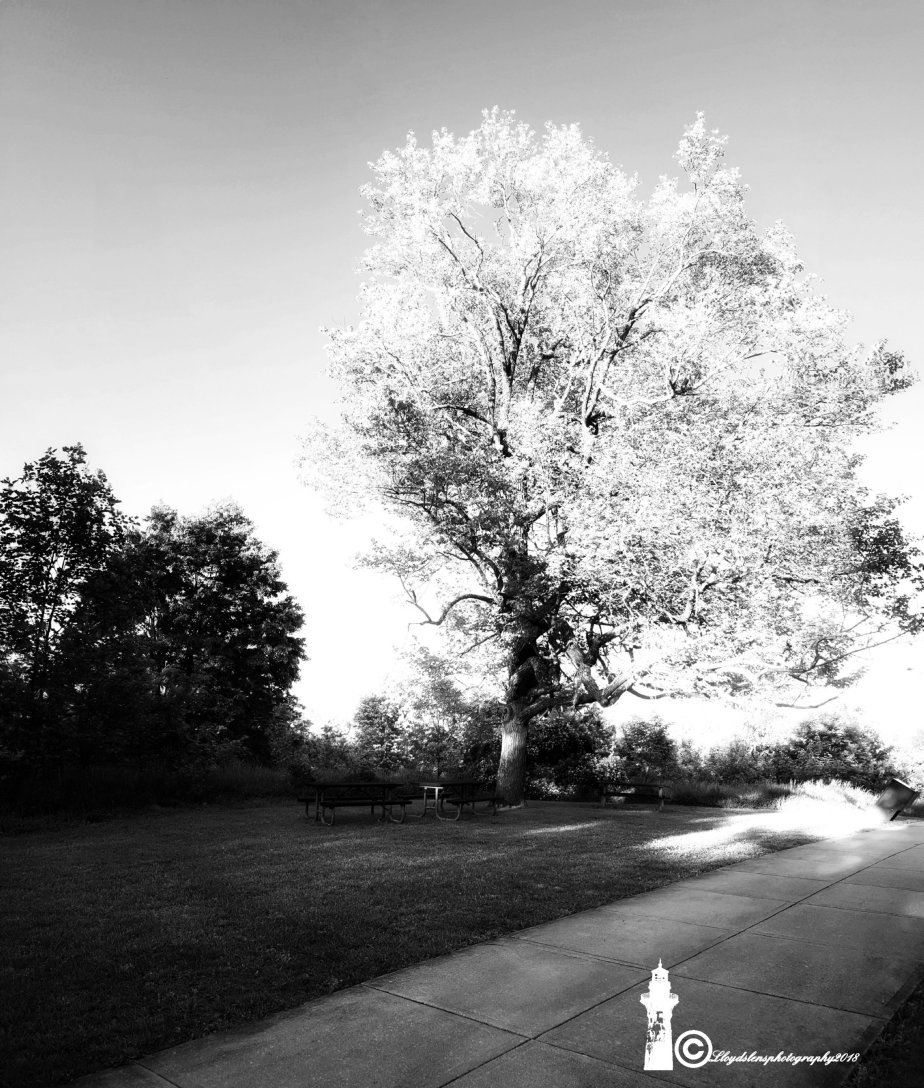 The First signs of&nbsp;Spring