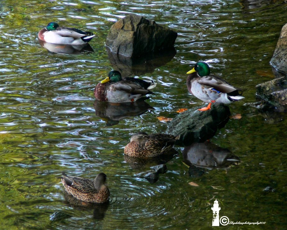 When Fellowship Happens