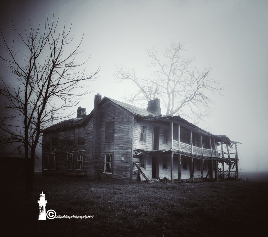 Echoes on a foggy&nbsp;morning