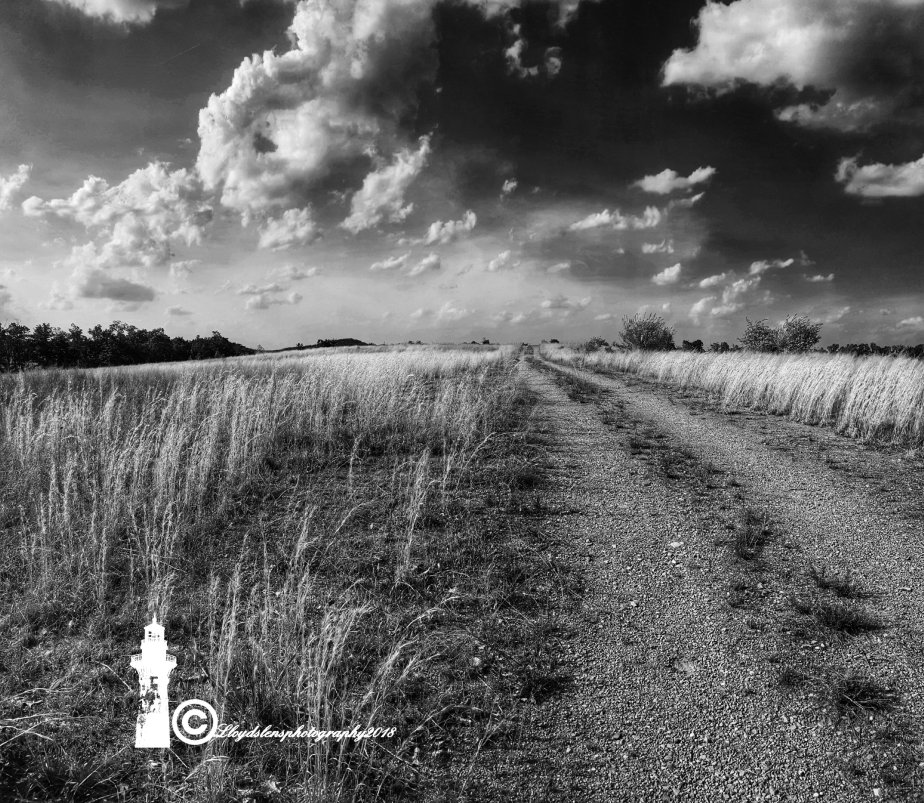 The Road Ends In&nbsp;Silence