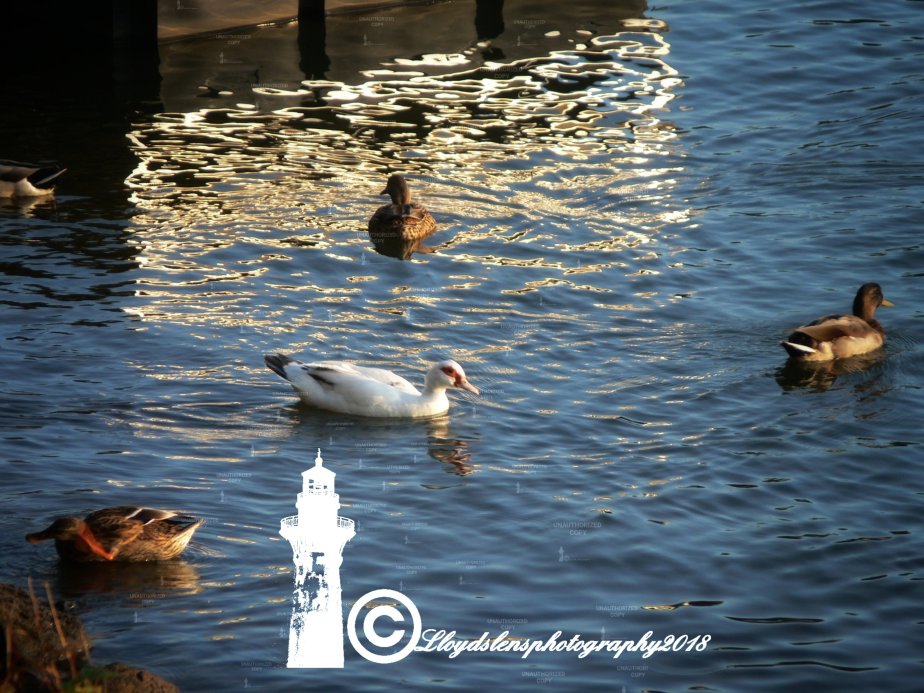 When You Don’t Fit&nbsp;In