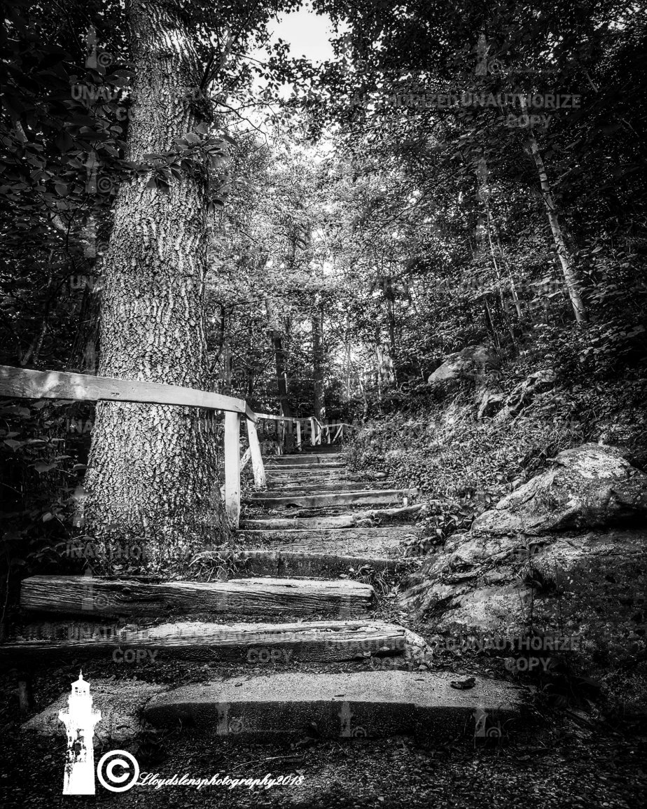 Lover’s Leap Trail at Hawks Nest State Park in Ansted West&nbsp;Virginia