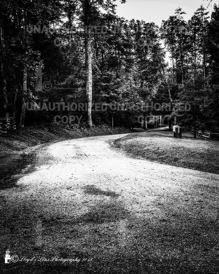 A Walk To A Thinking&nbsp;Spot