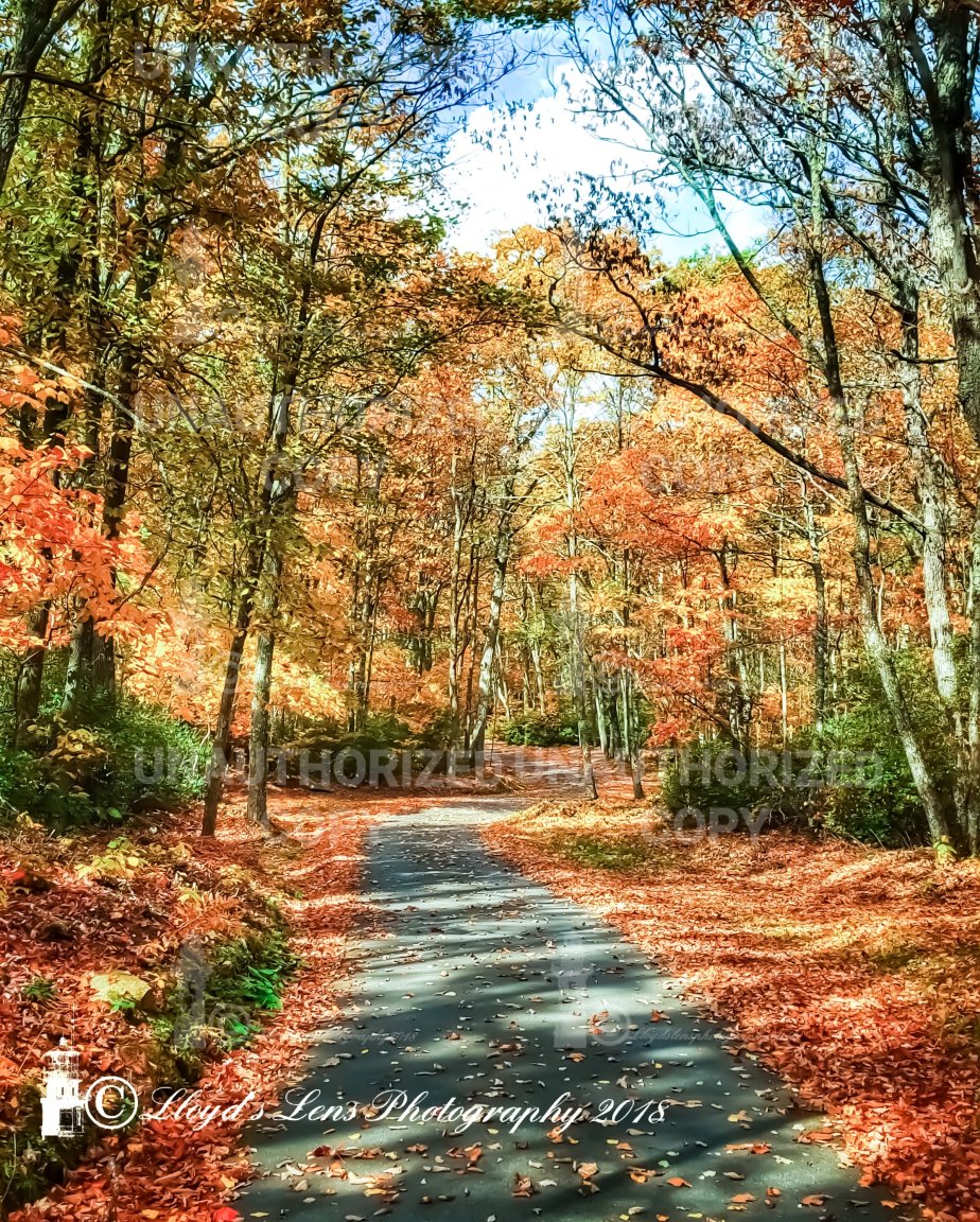 September 22nd 2018. The First Day Of&nbsp;Fall