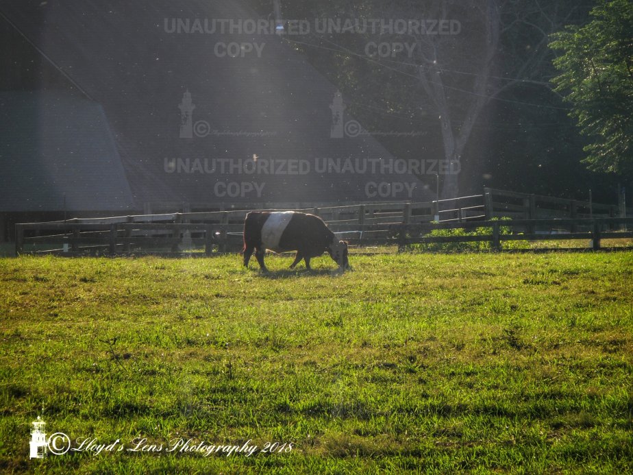 Some Memories Of My Grandfather & A Special Sight On My Daily&nbsp;Commute