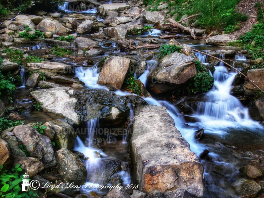The Children Of The&nbsp;Falls