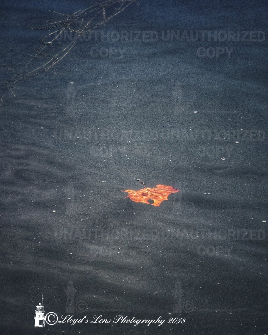 Changing The Pattern