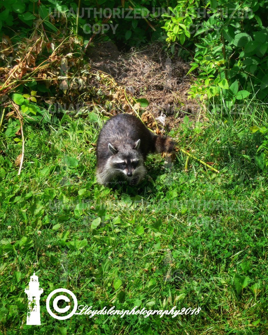 Masks, Bandits and Native American&nbsp;Lore