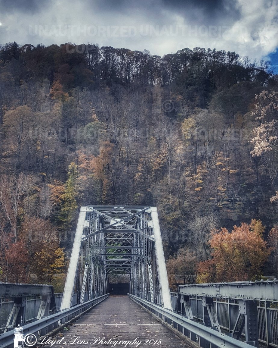 Taking The Next First Step (One year of blogging and updates to my&nbsp;website)