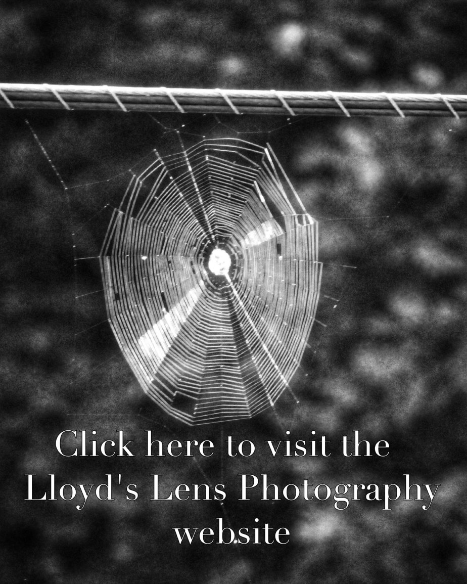 Welcome To Lloyds Lens Photography