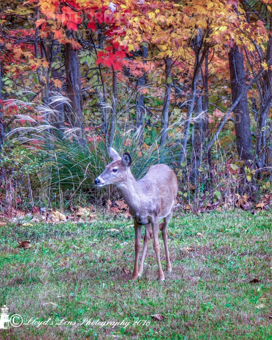 Look Who Dropped By For&nbsp;Lunch