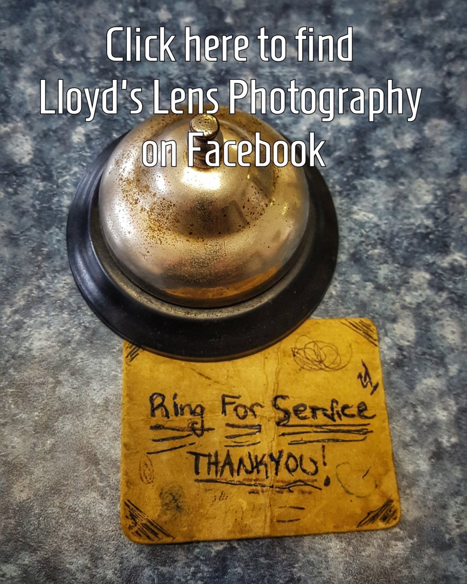 Antique Service Desk Bell