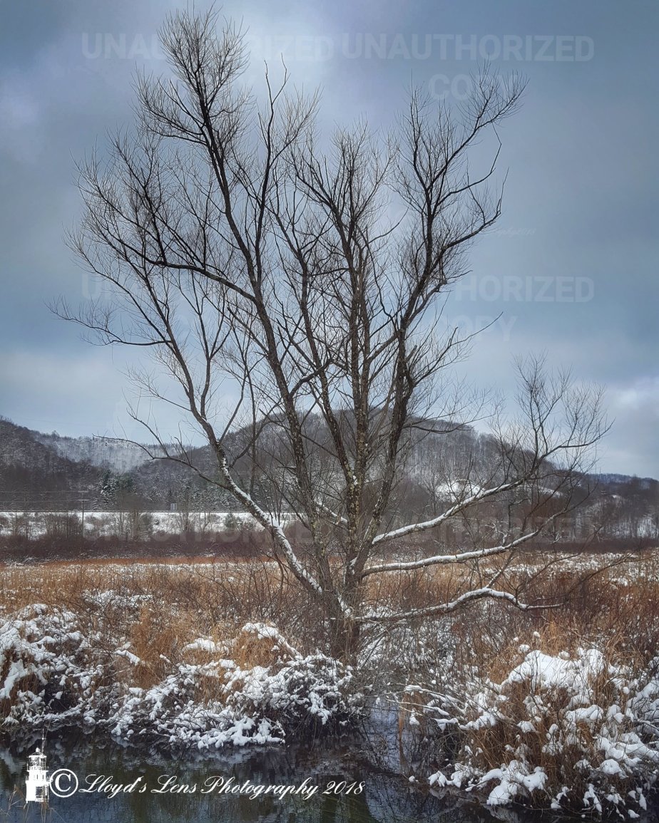 Remembering Wintertime Camping