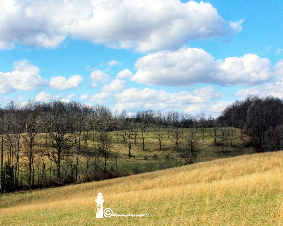 Big Puffy Cloud&nbsp;Syndrome