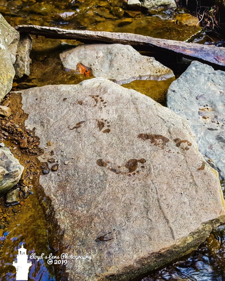 Tracking People And Making&nbsp;Decisions