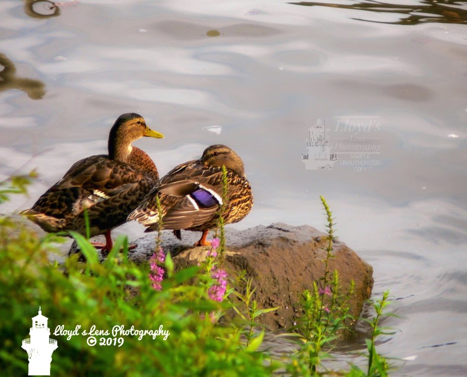 A Conversation Between&nbsp;Friends