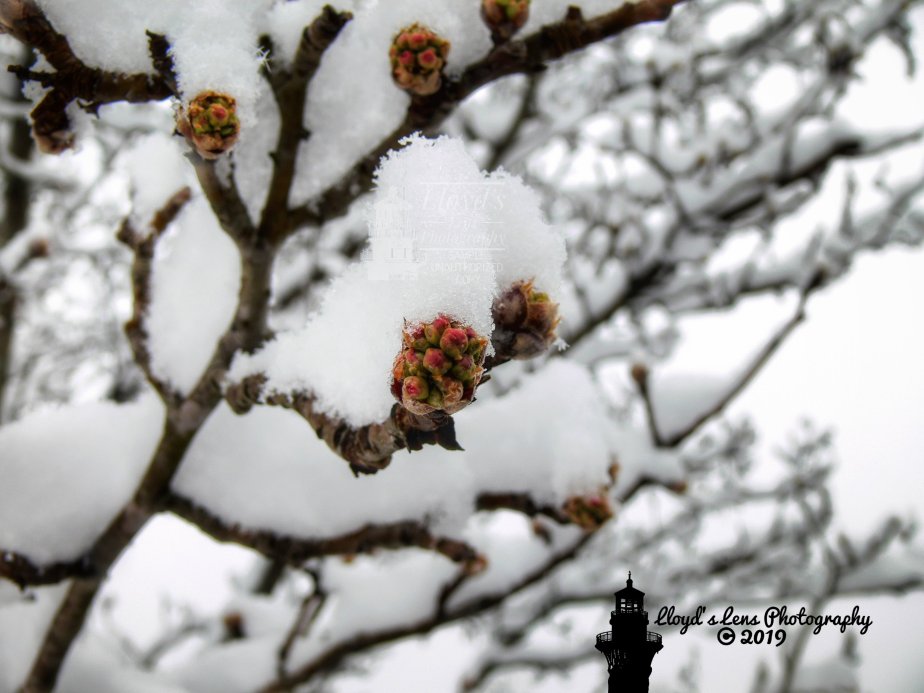 A Quick Update On My Natural&nbsp;Calendar