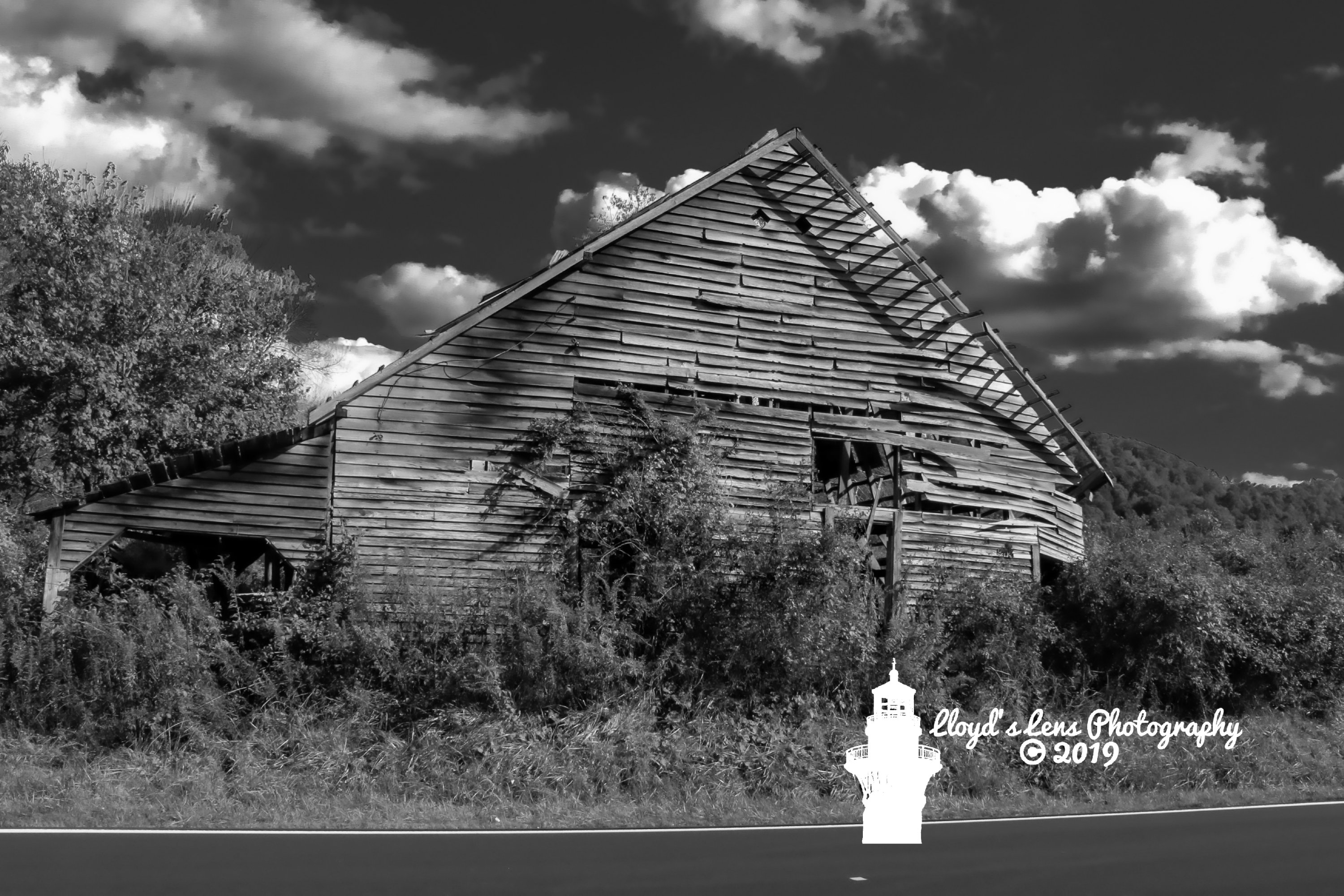 Echoes Of A Lifetime