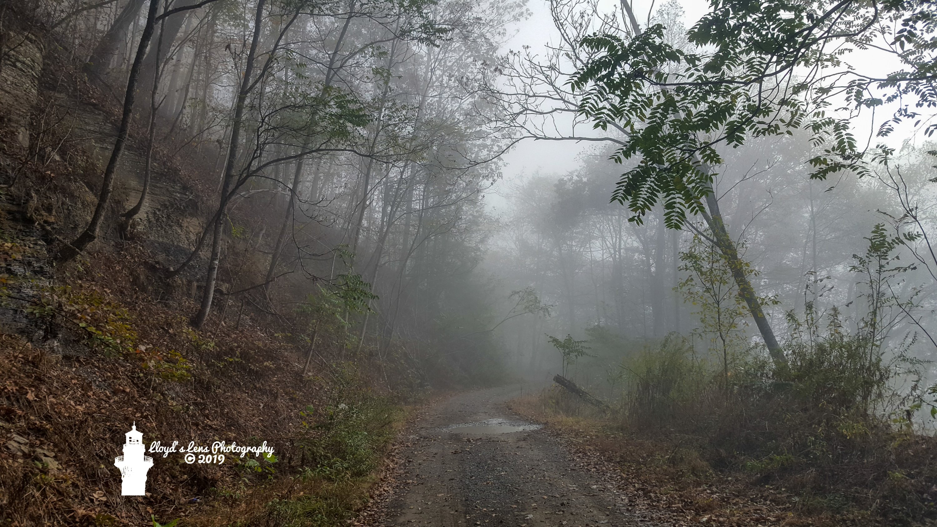 A Foggy Morning On Panther Mountain 101919c