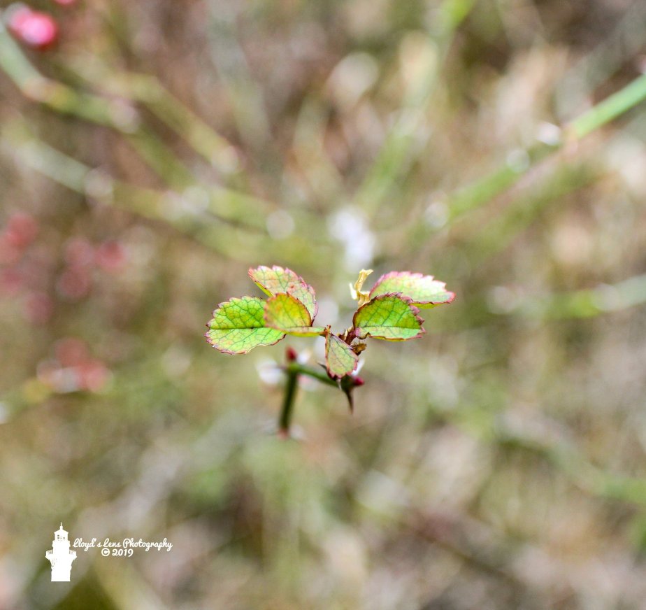 New Life Is On The&nbsp;Way