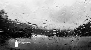 The Gray Veil 113019