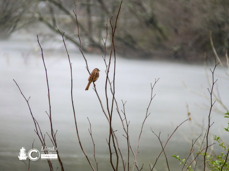 It Just Takes One&nbsp;Song