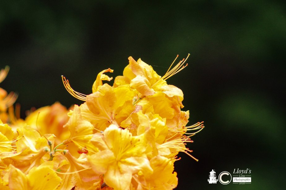 The Moment Of&nbsp;Living