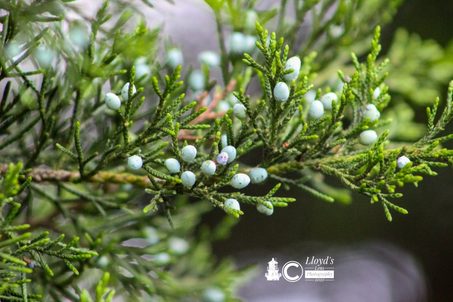 Reunion With An Old&nbsp;Friend