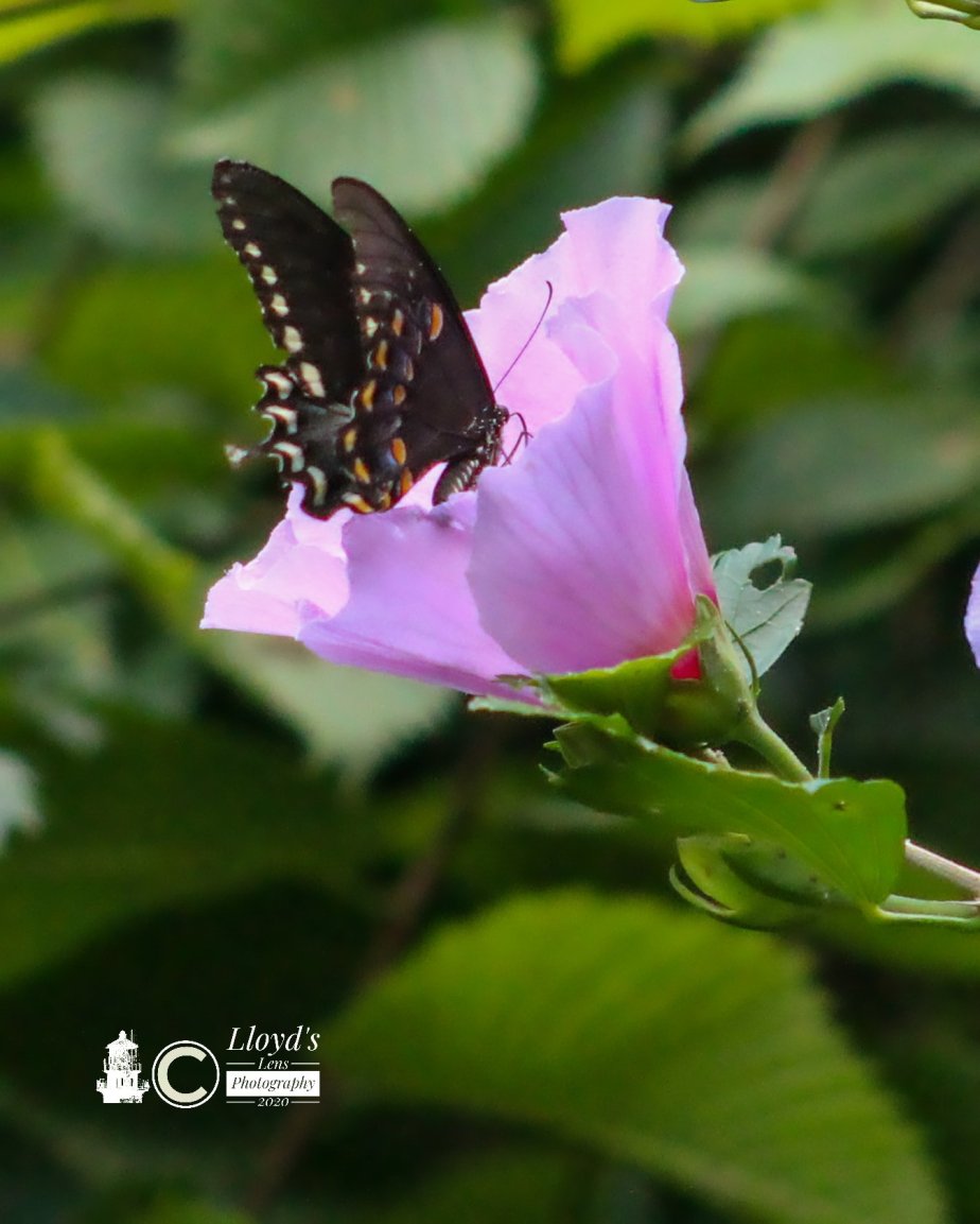 A Moment Bathed In The&nbsp;Light