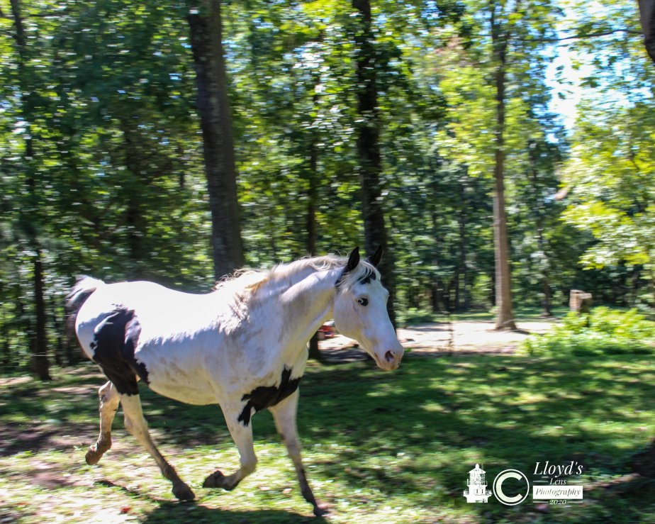 Race The Wind And&nbsp;Win