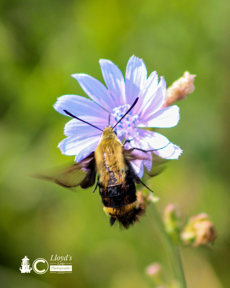 Collecting Moments And Learning To Appreciate&nbsp;Mistakes