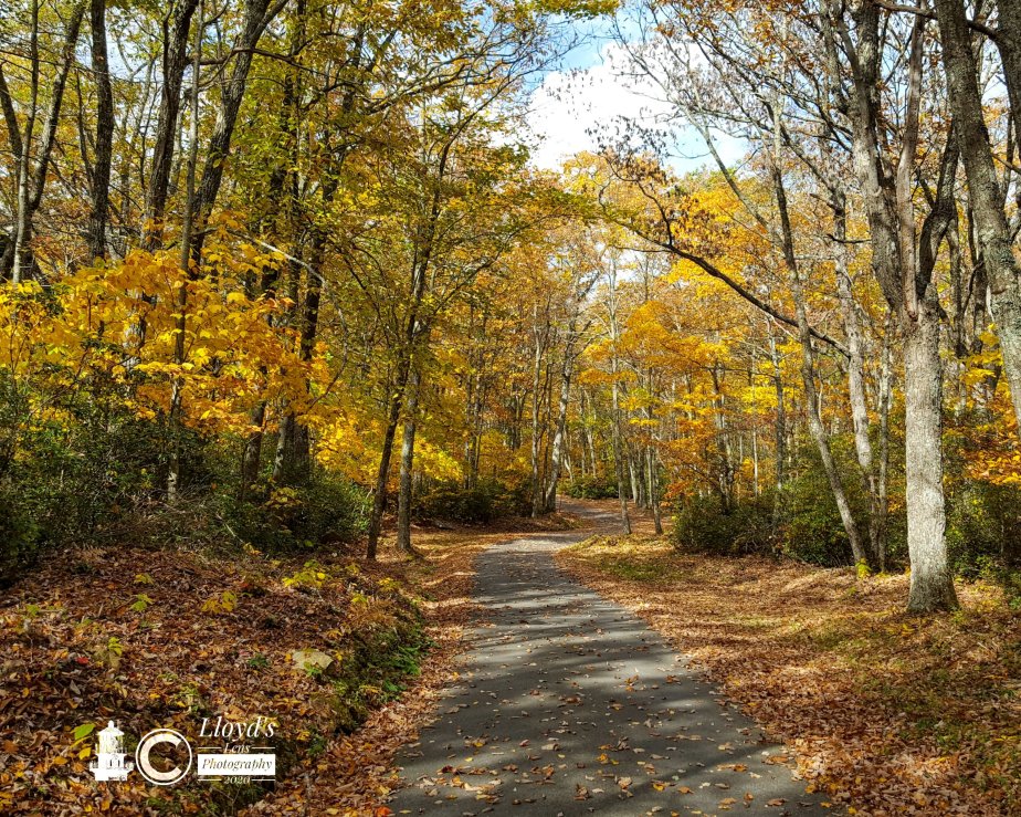 The Rhythm Of&nbsp;Change