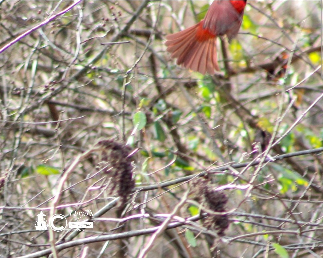 Just Missed It 121720