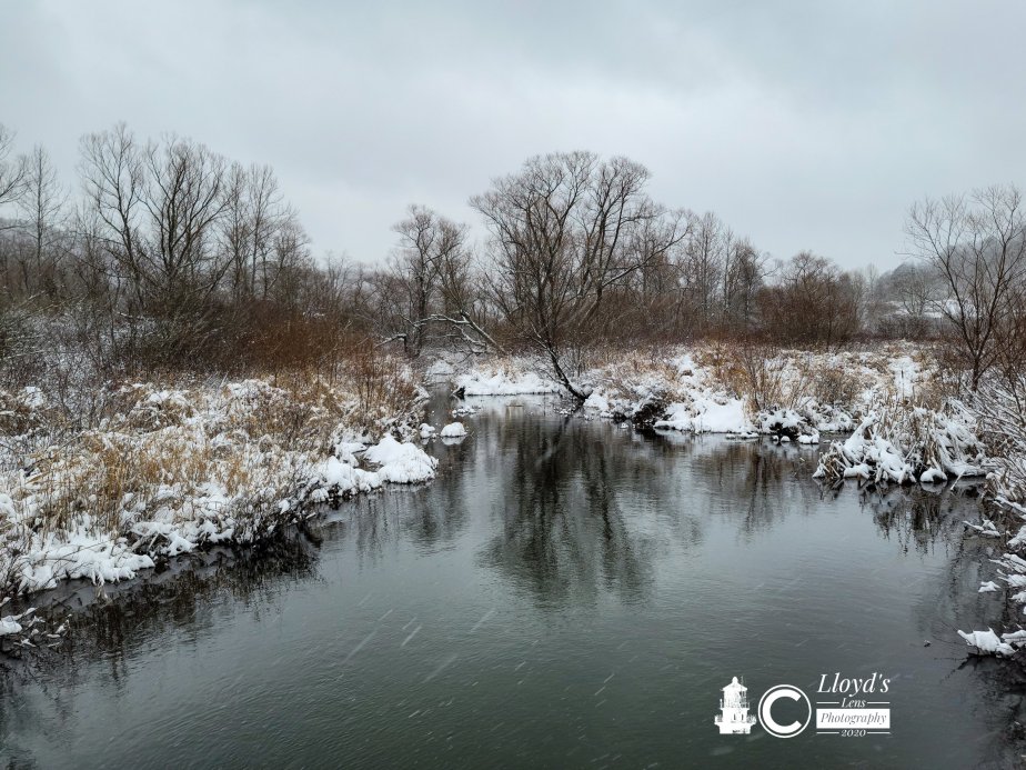 The Landscape Dreams