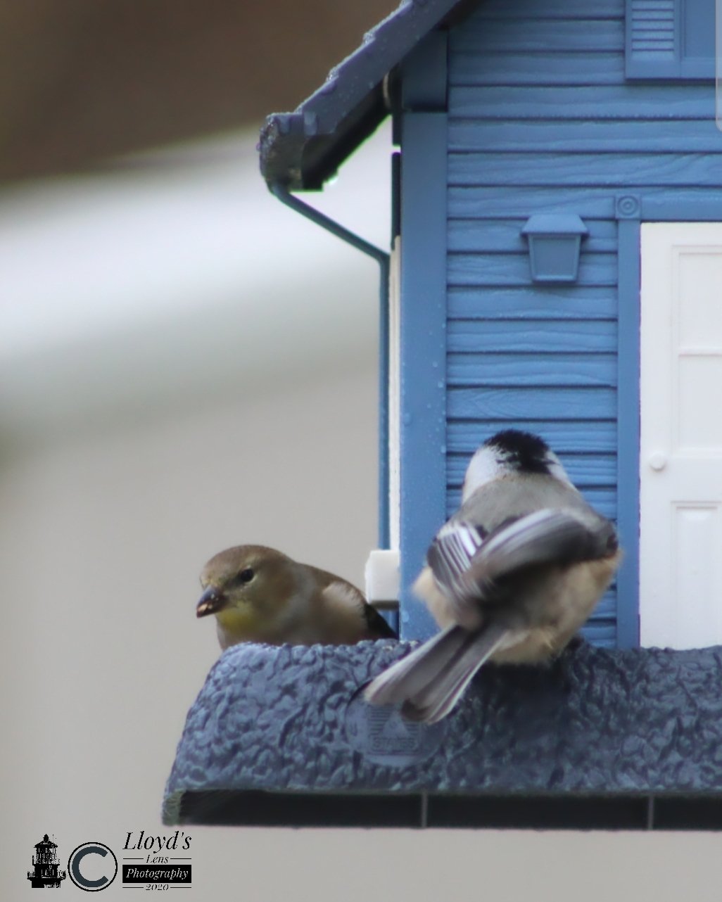 Breakfast With Friends 122320