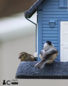 Breakfast With Friends 122320