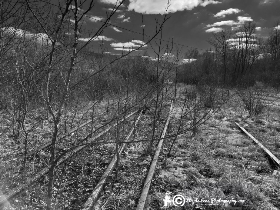 The Forgotten Tomorrow