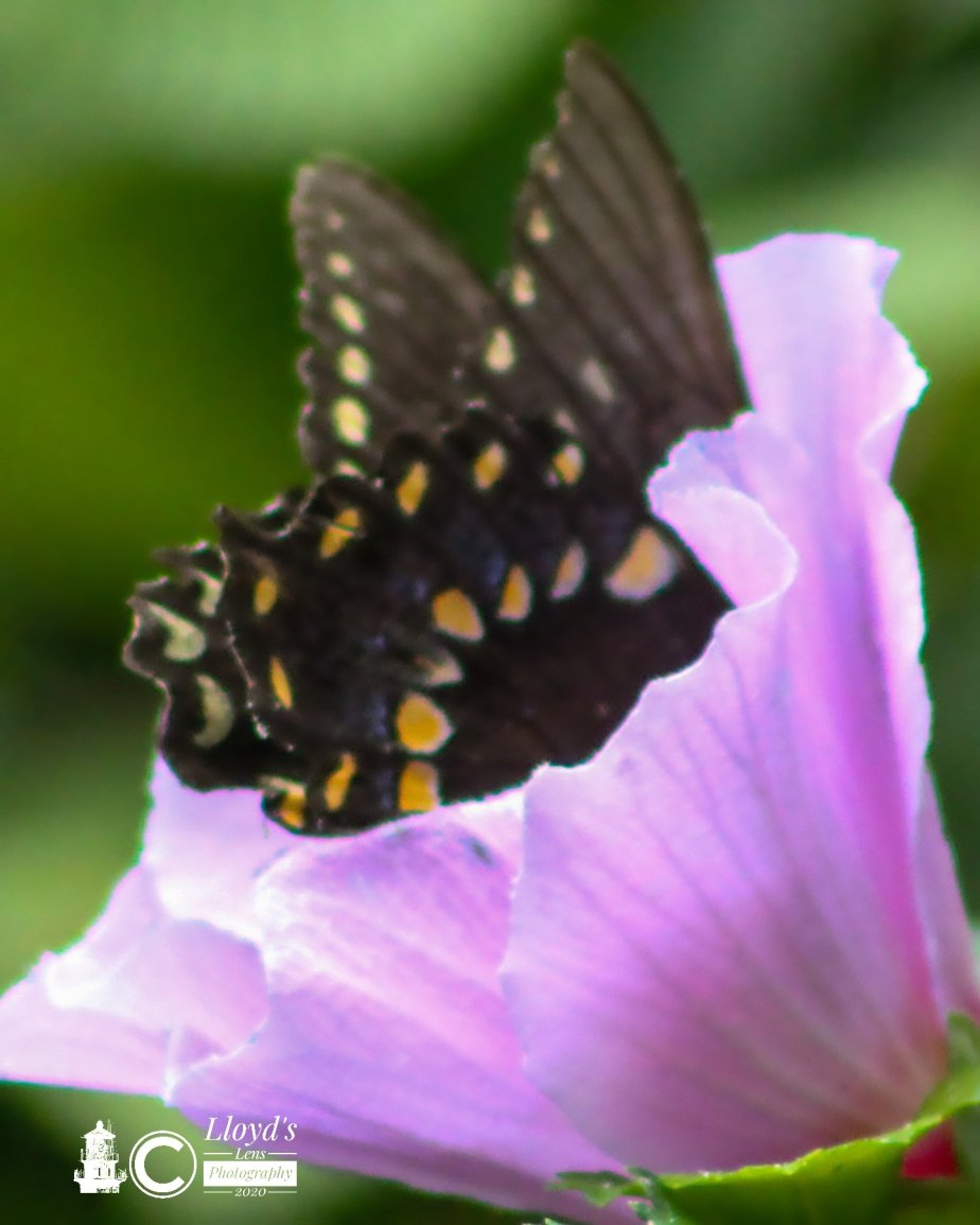 A Return To&nbsp;Sunshine