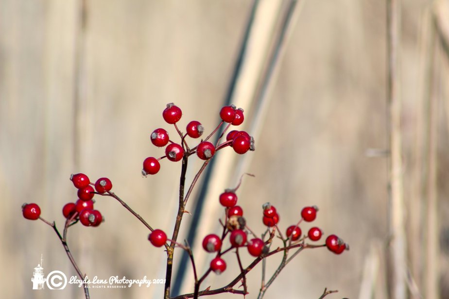 On Peace, Fear And&nbsp;Faith