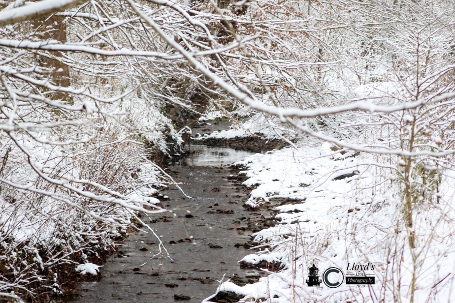 The Trapper Part&nbsp;5