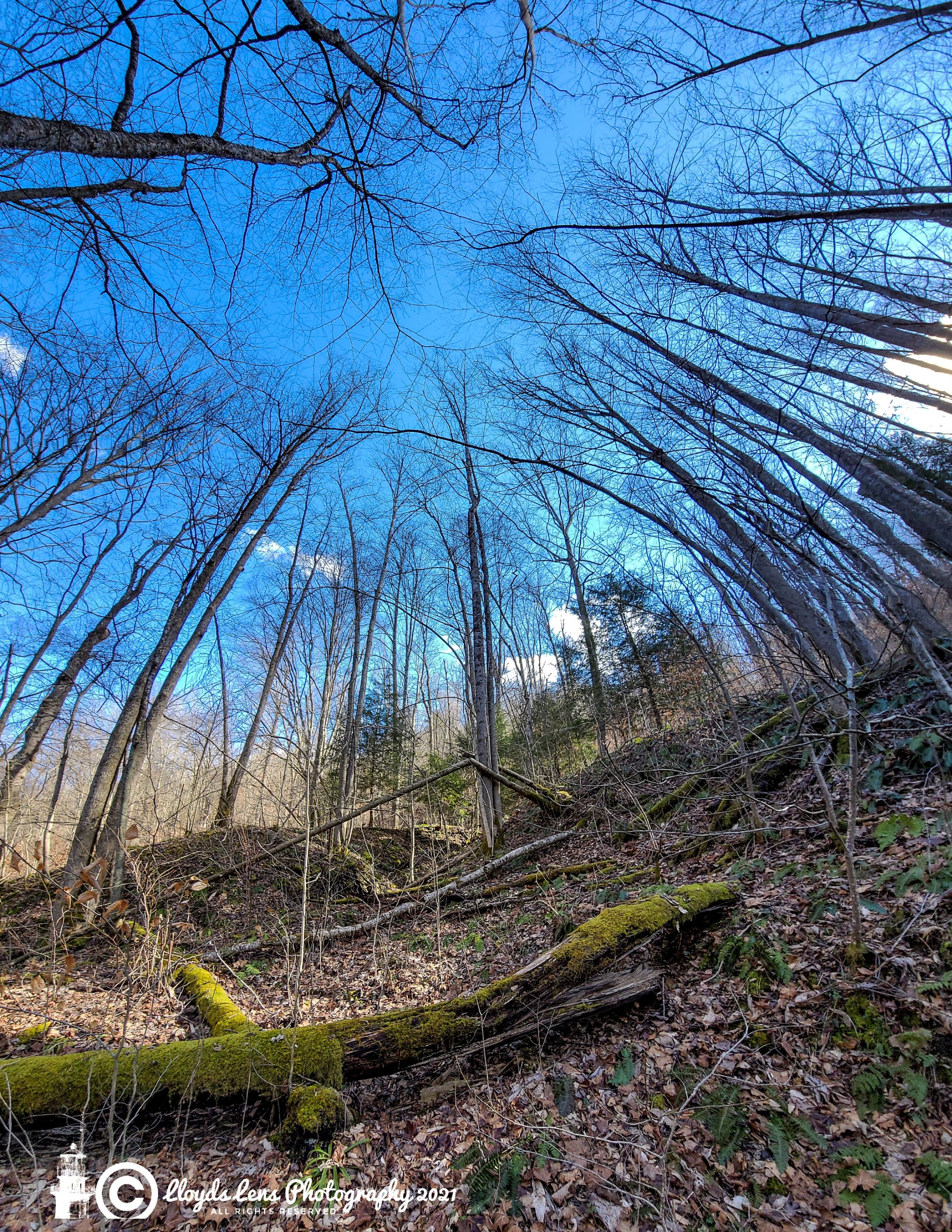 The Mountain's Calling 22321