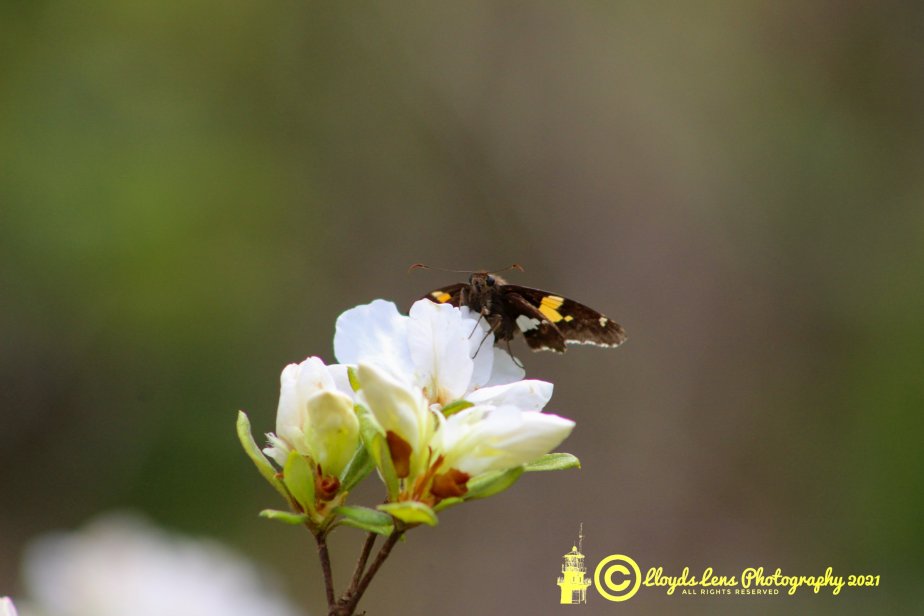 A Moment To&nbsp;Pause