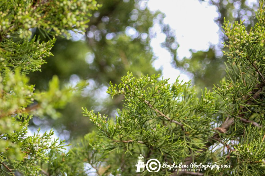 To Catch The&nbsp;Wind